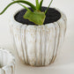 Cedric Pot Set of 8 By Accent Decor | Wall Decor | Modishstore - 9