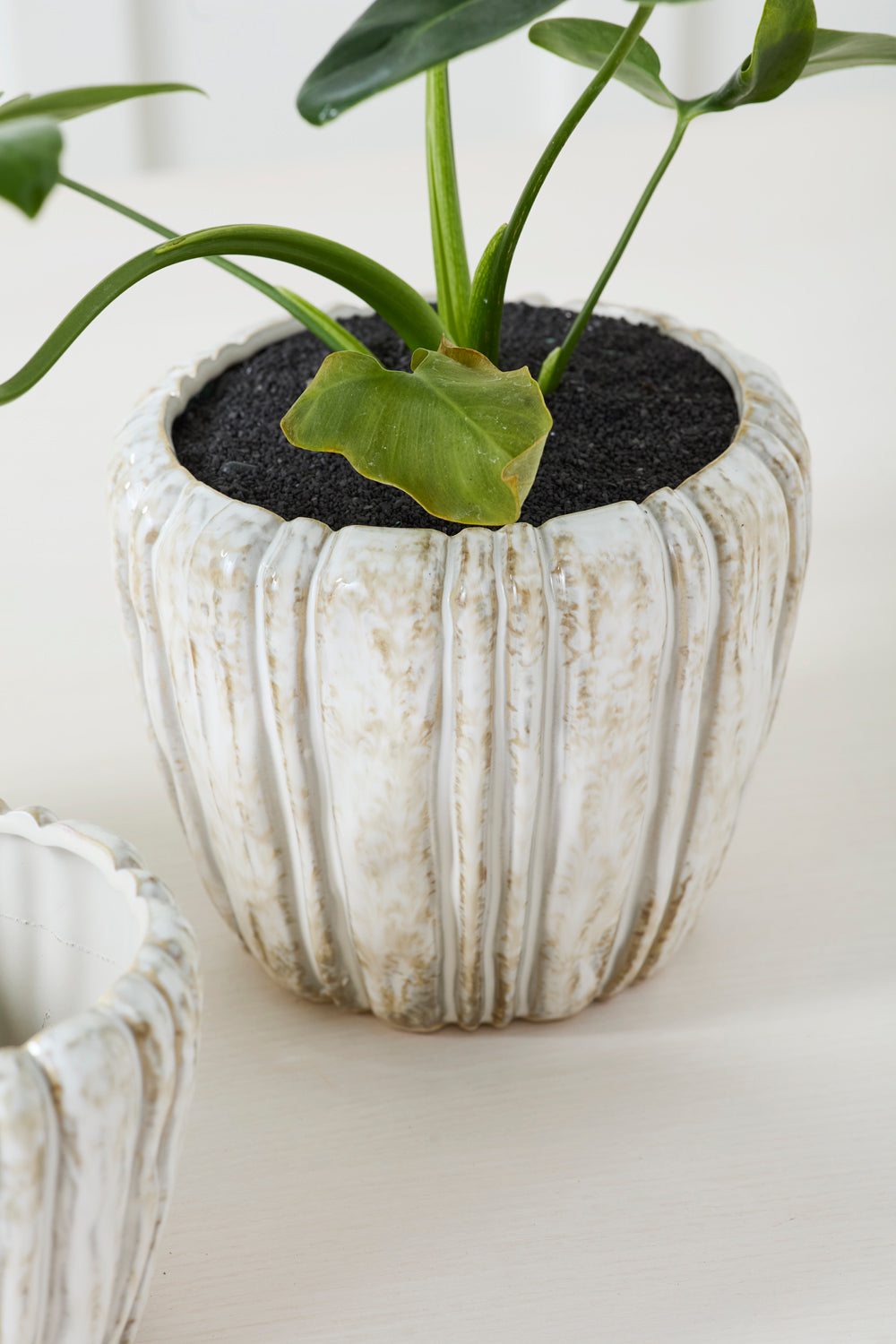 Cedric Pot Set of 8 By Accent Decor | Wall Decor | Modishstore - 9