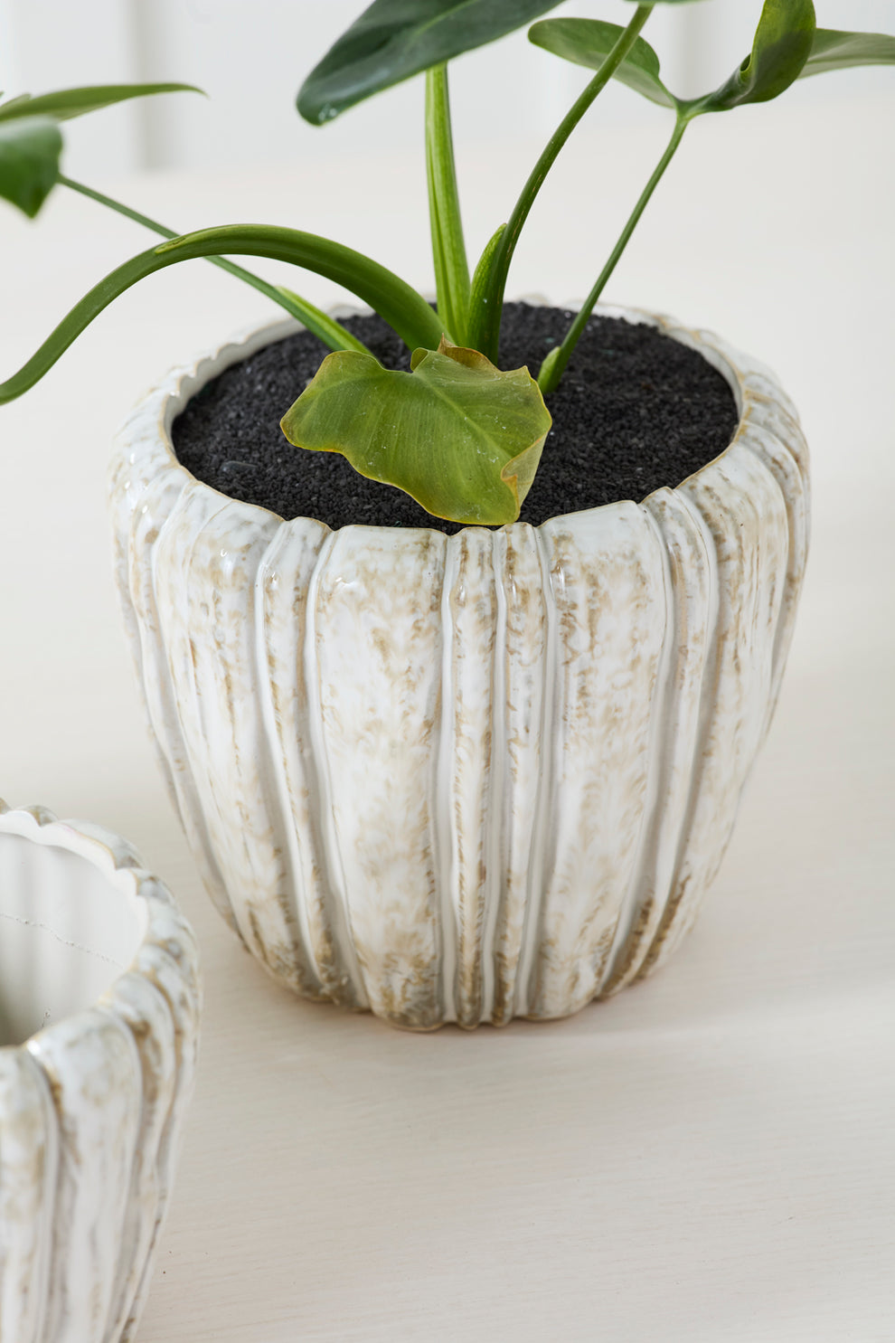 Cedric Pot Set of 8 By Accent Decor | Wall Decor | Modishstore - 9