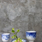 Ellory Collection Set of 4 By Accent Decor | Planters, Troughs & Cachepots | Modishstore - 8