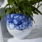 Ellory Collection Set of 4 By Accent Decor | Planters, Troughs & Cachepots | Modishstore - 10