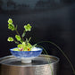 Ellory Collection Set of 4 By Accent Decor | Planters, Troughs & Cachepots | Modishstore - 12