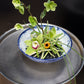 Ellory Collection Set of 4 By Accent Decor | Planters, Troughs & Cachepots | Modishstore - 13