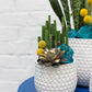 Ginny Pot Set of 8 By Accent Decor | Planters, Troughs & Cachepots | Modishstore - 7