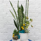Ginny Pot Set of 8 By Accent Decor | Planters, Troughs & Cachepots | Modishstore - 9