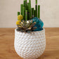 Ginny Pot Set of 8 By Accent Decor | Planters, Troughs & Cachepots | Modishstore - 10