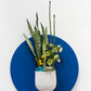 Ginny Pot Set of 8 By Accent Decor | Planters, Troughs & Cachepots | Modishstore - 12