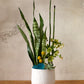 Ginny Pot Set of 8 By Accent Decor | Planters, Troughs & Cachepots | Modishstore - 13