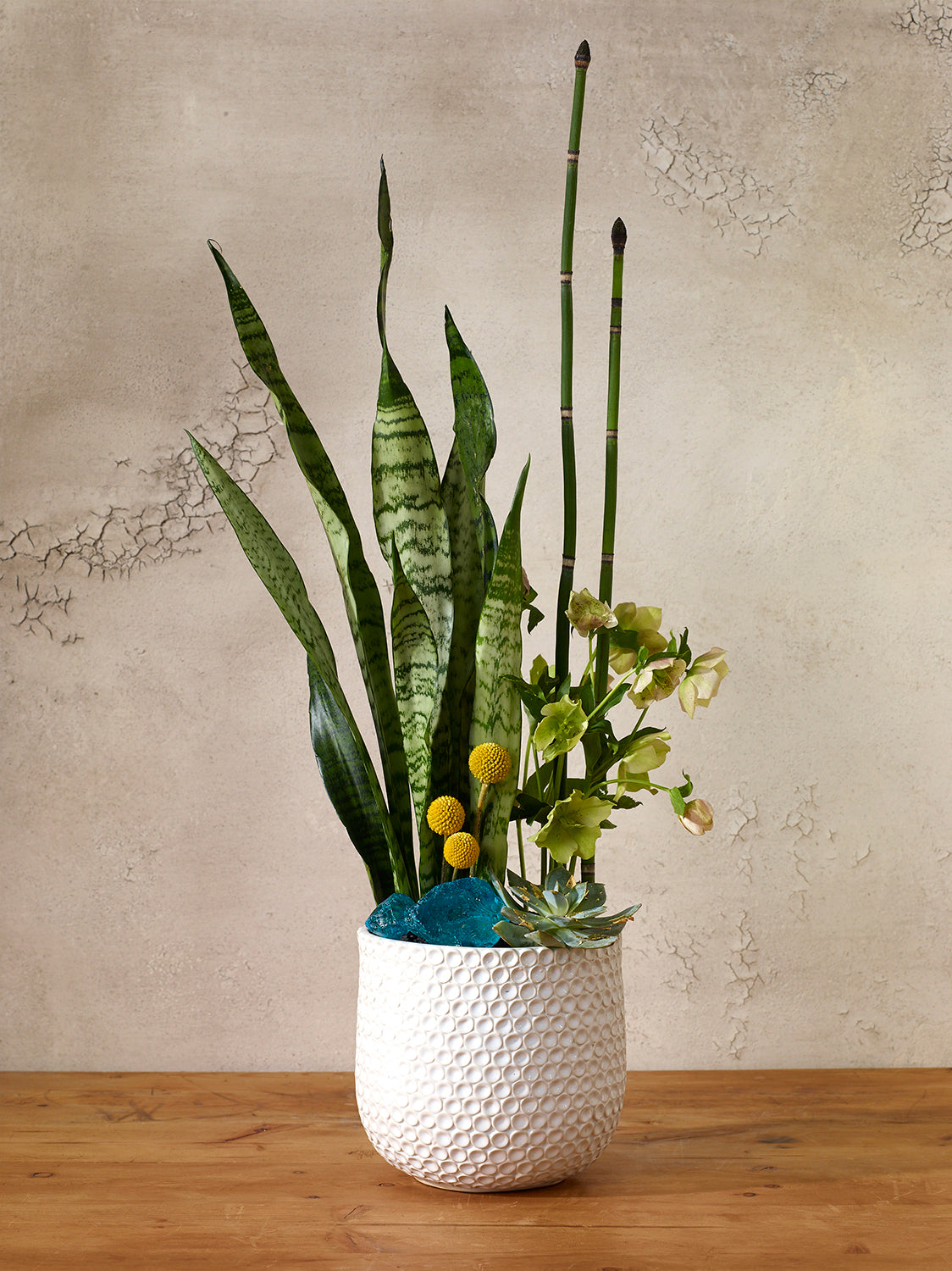 Ginny Pot Set of 8 By Accent Decor | Planters, Troughs & Cachepots | Modishstore - 13