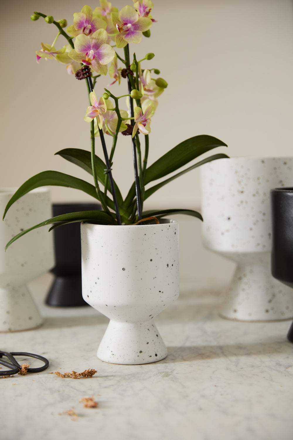 De Vil Pot Set of 4 By Accent Decor | Planters, Troughs & Cachepots | Modishstore - 11