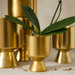 Gold De Vil Pot Set of 4 By Accent Decor | Stands | Modishstore - 6