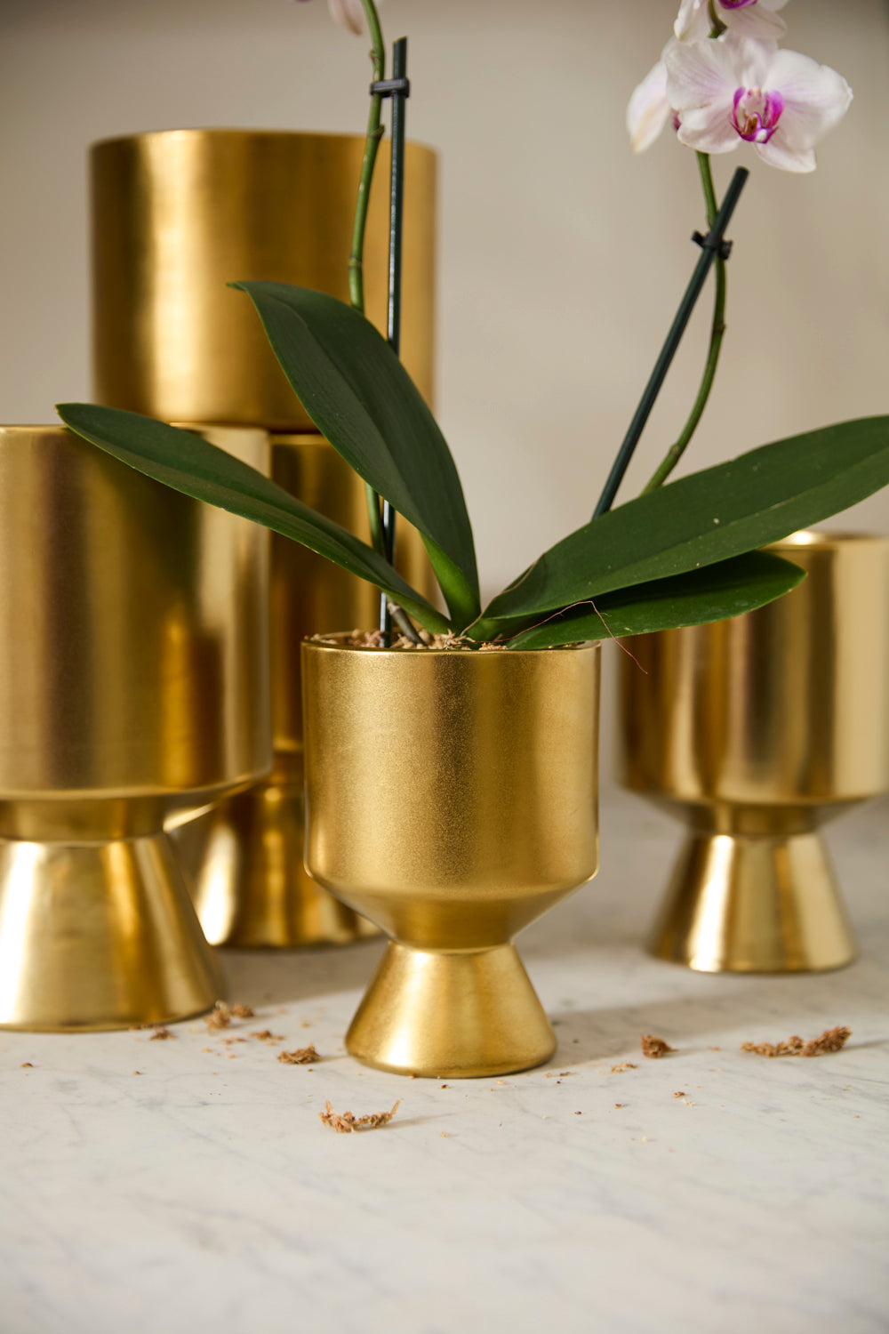 Gold De Vil Pot Set of 4 By Accent Decor | Stands | Modishstore - 6