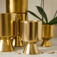 Gold De Vil Pot Set of 4 By Accent Decor | Stands | Modishstore - 8