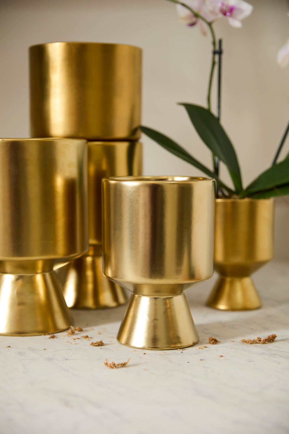 Gold De Vil Pot Set of 4 By Accent Decor | Stands | Modishstore - 8