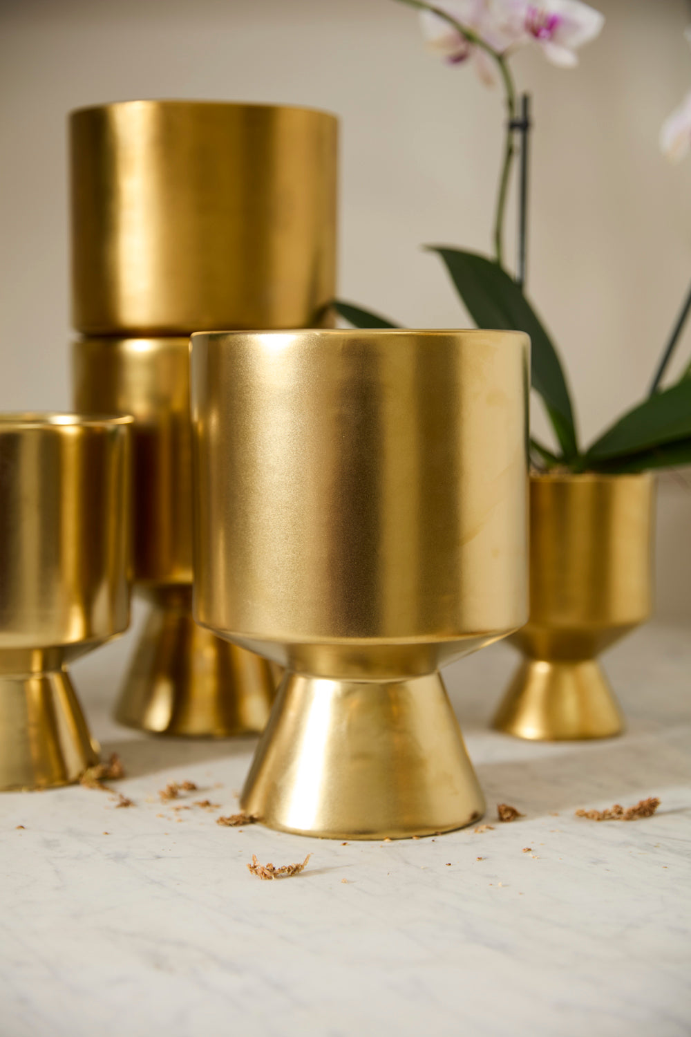 Gold De Vil Pot Set of 4 By Accent Decor | Stands | Modishstore - 10