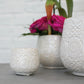 Francis Pot Set of 8 By Accent Decor | Planters, Troughs & Cachepots | Modishstore - 6