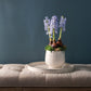 Francis Pot Set of 8 By Accent Decor | Planters, Troughs & Cachepots | Modishstore - 8