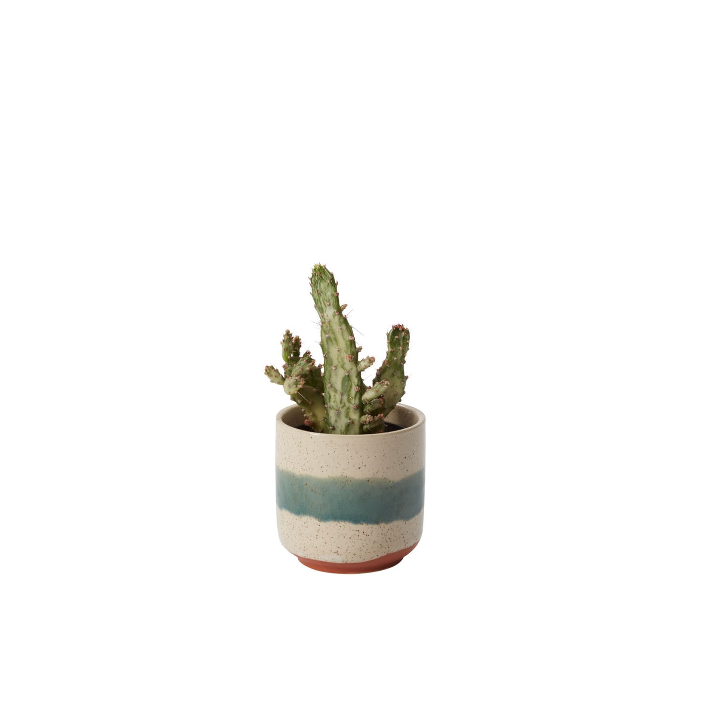 Mateo Pot Set of 8 By Accent Decor | Planters, Troughs & Cachepots | Modishstore - 2