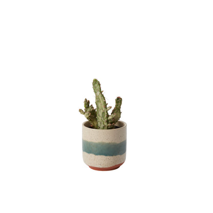 Mateo Pot Set of 8 By Accent Decor | Planters, Troughs & Cachepots | Modishstore - 2