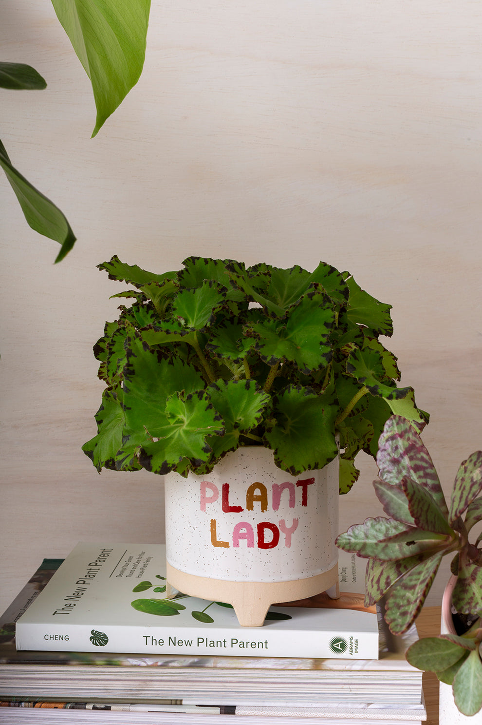 Plant Luv Collection Set of 4 By Accent Decor | Planters, Troughs & Cachepots | Modishstore - 5