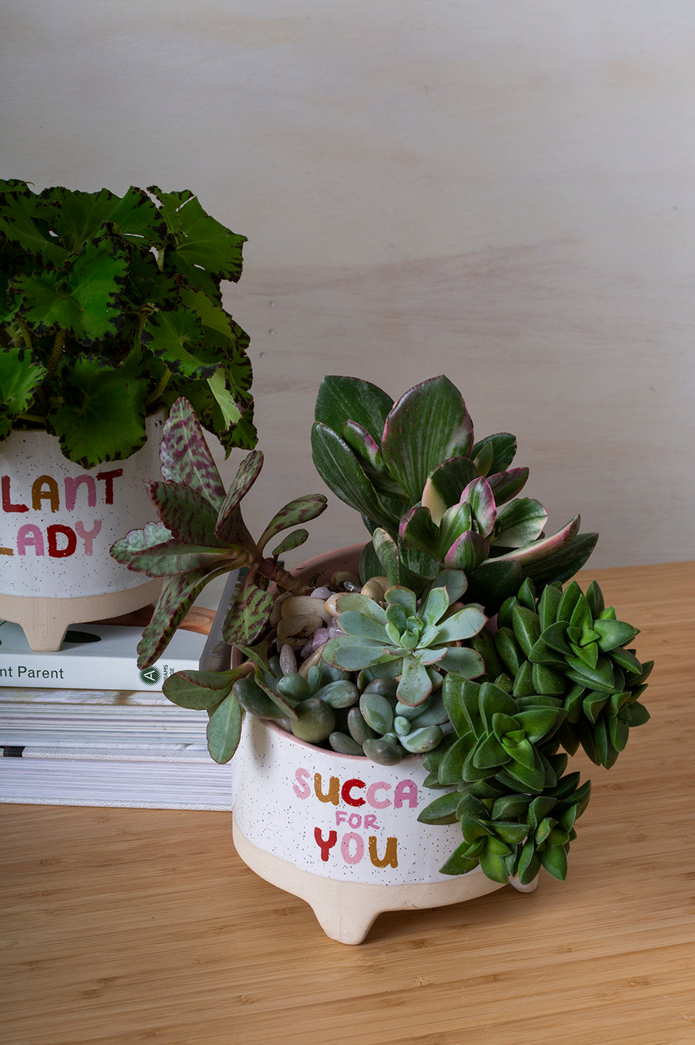 Plant Luv Collection Set of 4 By Accent Decor | Planters, Troughs & Cachepots | Modishstore - 7