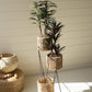 Three Tiered Seagrass Plant Stand By Kalalou | Planters, Troughs & Cachepots | Modishstore - 3
