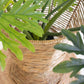 Iron And Seagrass Urn - Short By Kalalou