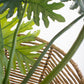 Iron And Seagrass Urn - Short By Kalalou
