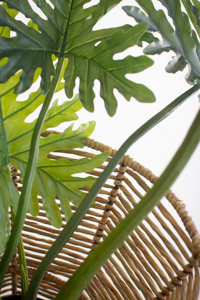 Iron And Seagrass Urn - Short By Kalalou