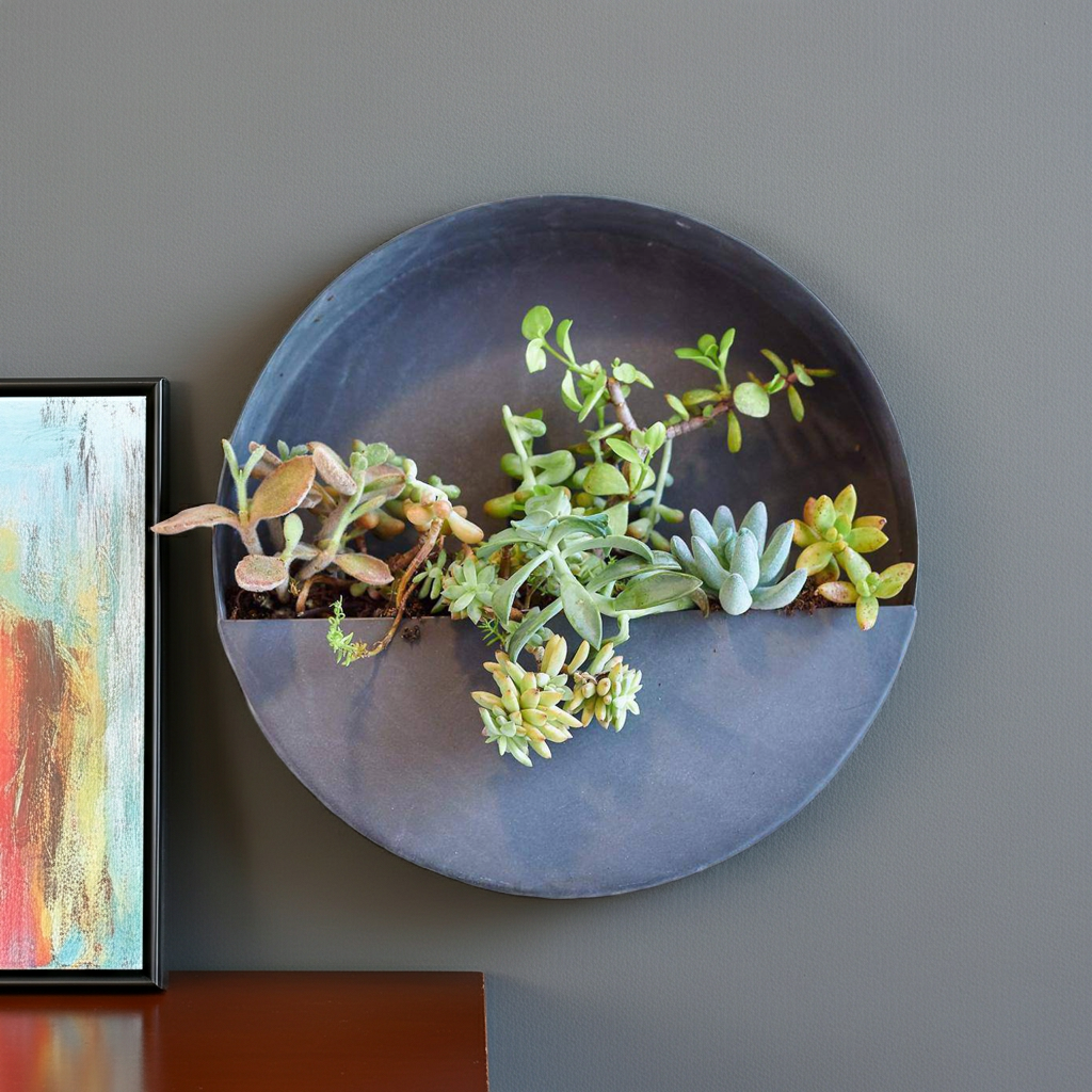 Wall Planters, Iron Indoor/Outdoor Circle & Semi Circle