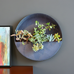 Wall Planters