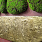 Toketa 47.3"L Wall Art (possible additional freight required) By Gold Leaf | Wall Art | Modishstore - 2