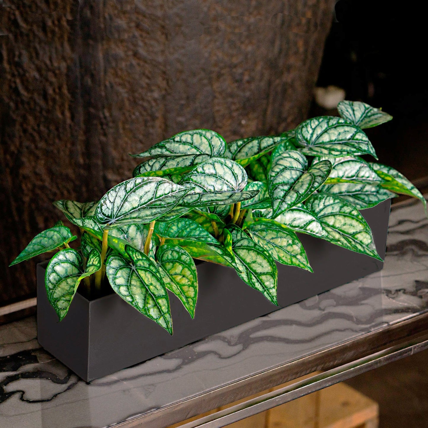 Linear Planter, Black Satin, 18"L By Gold Leaf | Planters, Troughs & Cachepots | Modishstore - 4