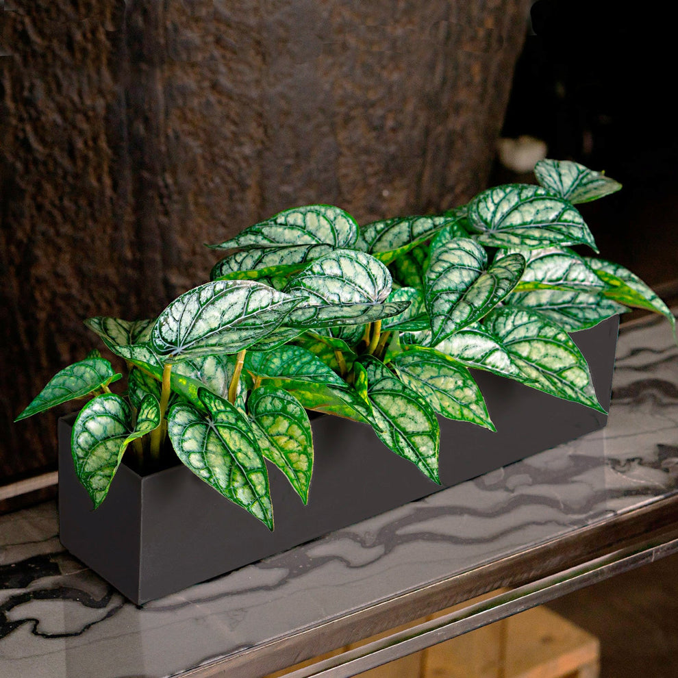 Linear Planter, Black Satin, 18"L By Gold Leaf | Planters, Troughs & Cachepots | Modishstore - 4