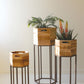 Set Three Hexagon Recycled Wood Planters On Metal Bases By Kalalou | Planters, Troughs & Cachepots | Modishstore