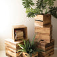 Set Of Six Recyled Pine Display Cubes By Kalalou