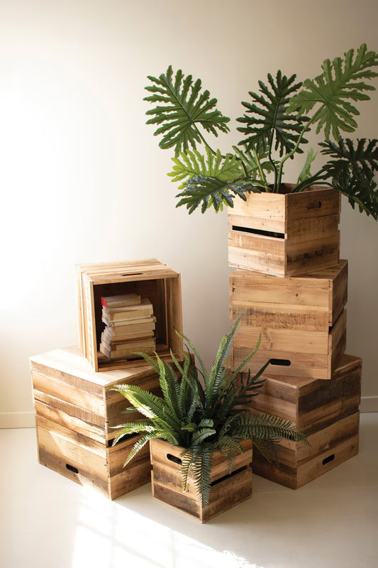 Set Of Six Recyled Pine Display Cubes By Kalalou