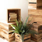 Set Of Six Recyled Pine Display Cubes By Kalalou