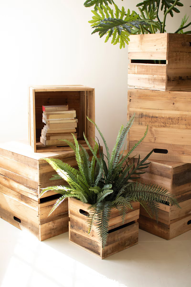 Set Of Six Recyled Pine Display Cubes By Kalalou