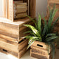 Set Of Six Recyled Pine Display Cubes By Kalalou