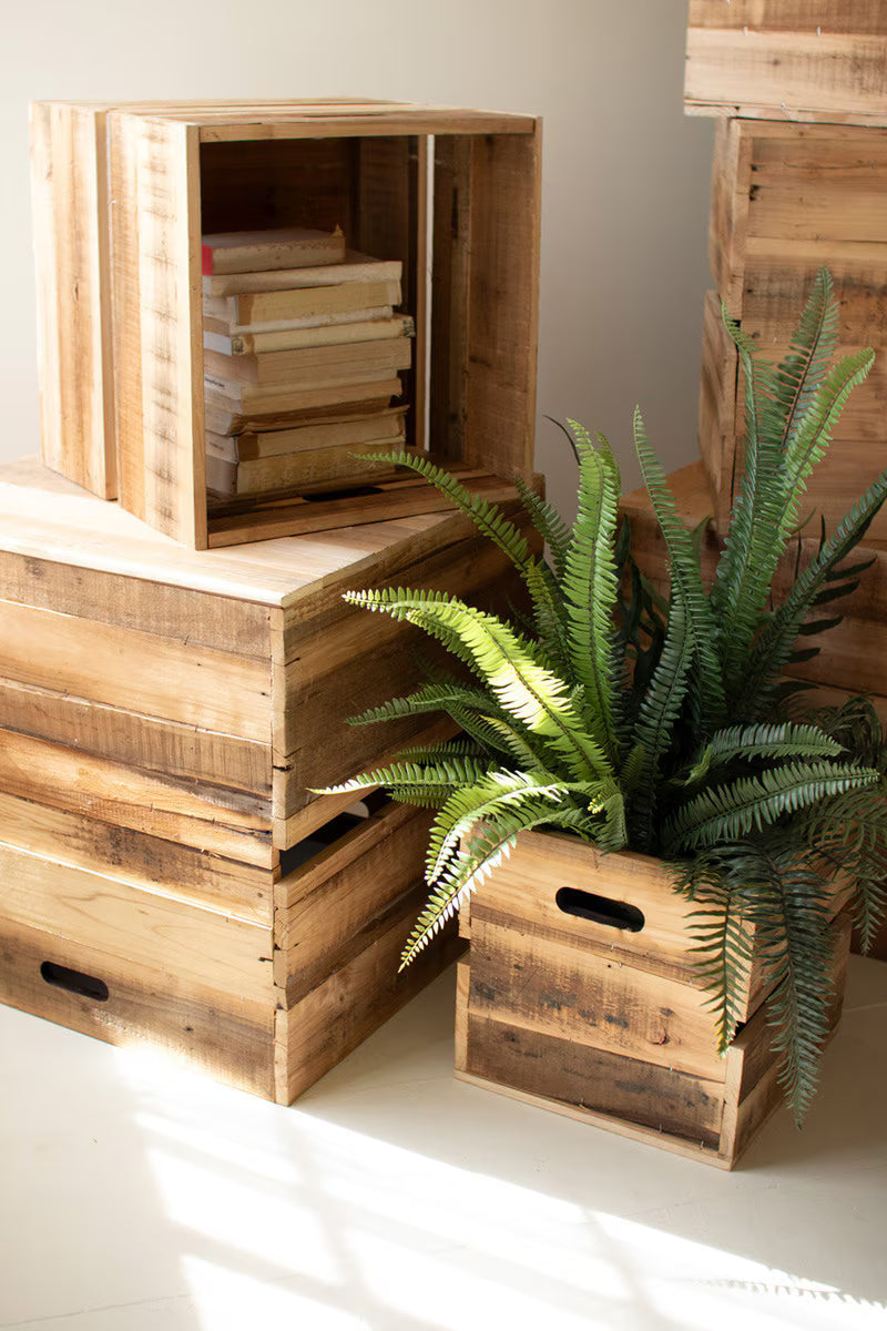 Set Of Six Recyled Pine Display Cubes By Kalalou