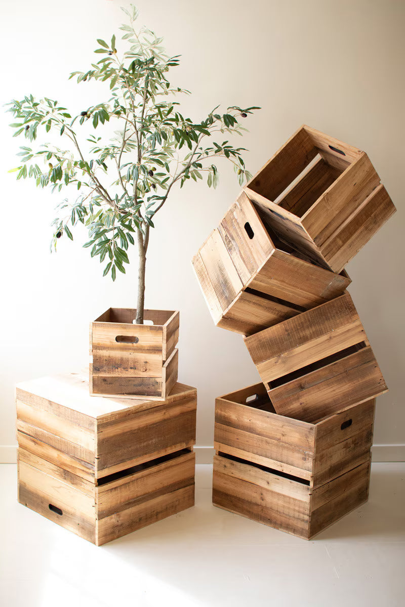 Set Of Six Recyled Pine Display Cubes By Kalalou
