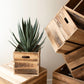 Set Of Six Recyled Pine Display Cubes By Kalalou