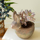 Rustic Terracotta Rabbit Planter By Kalalou
