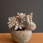 Rustic Terracotta Rabbit Planter By Kalalou