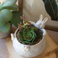 Ceramic Rabbit Vessel (Min 4) By Kalalou | Ornaments | Modishstore