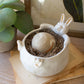 Ceramic Rabbit Vessel (Min 4) By Kalalou | Ornaments | Modishstore - 2