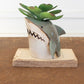 Ceramic Shark Planter (Min 2) By Kalalou | Planters, Troughs & Cachepots | Modishstore