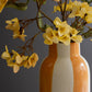 Colored Ceramic Striped Vases Set Of 5 By Kalalou | Vases | Modishstore - 4