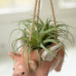 Ceramic Hanging Flying Pig Planter By Kalalou | Planters, Troughs & Cachepots | Modishstore - 2